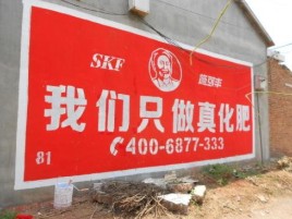 宣恩刷墙广告”蕴含了时代命题