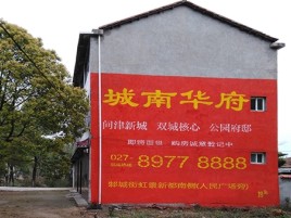 宣恩百分之90的人都不了解的农村墙体广告