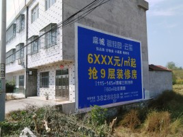 宣恩墙体广告质量分析