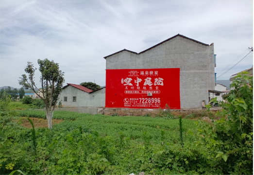 宣恩做墙体广告的意义