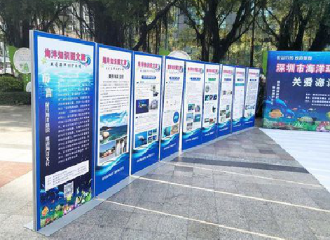 宣恩KT板的种类和知识。